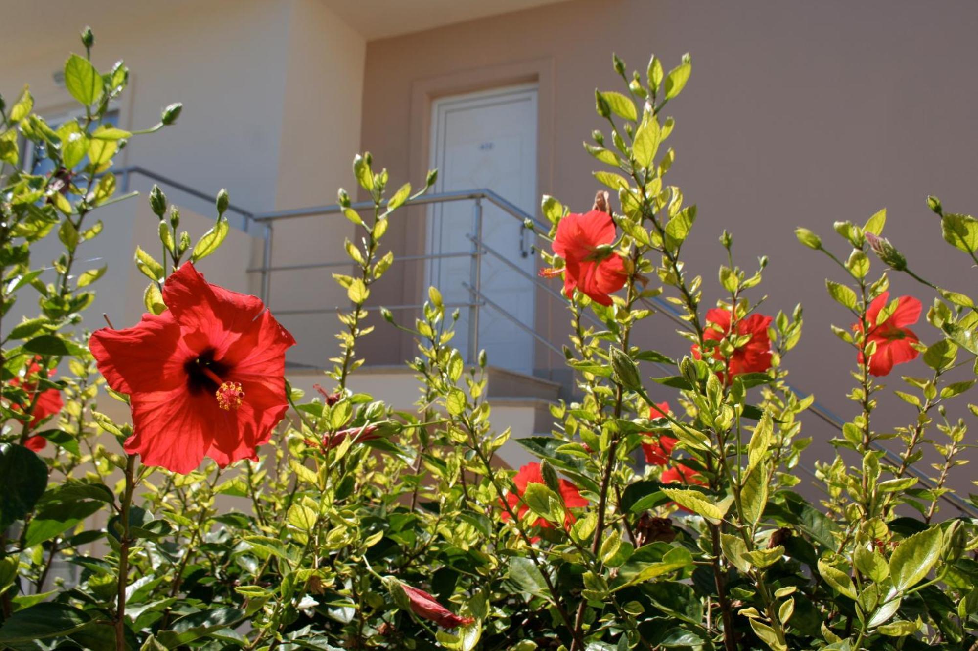 Amaryllis Front Beach Hotel Лардос Екстериор снимка