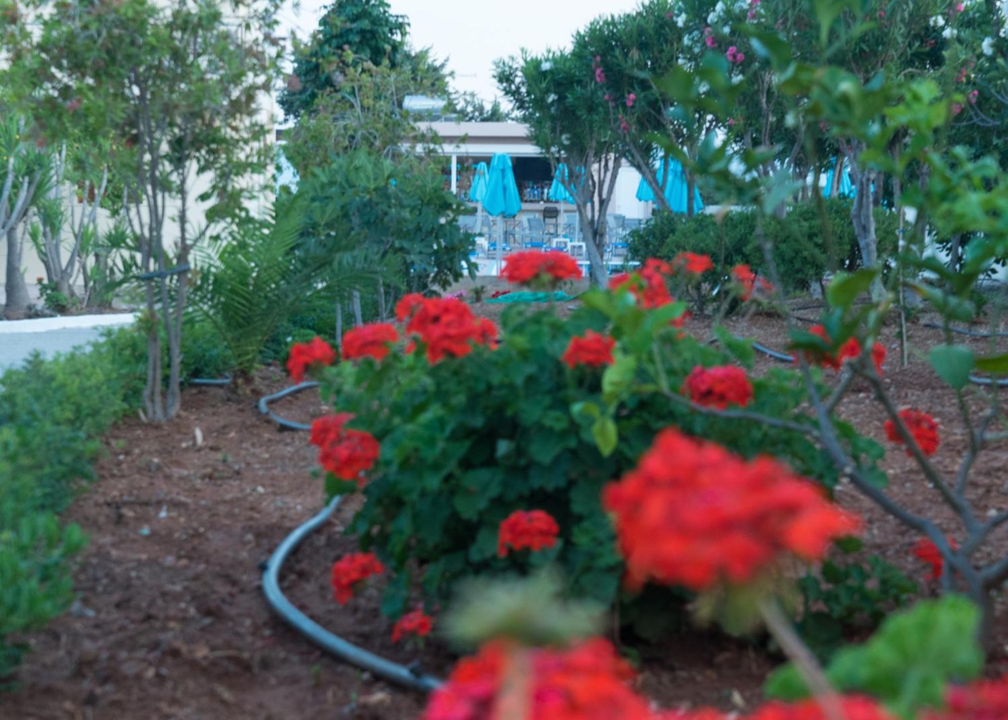 Amaryllis Front Beach Hotel Лардос Екстериор снимка